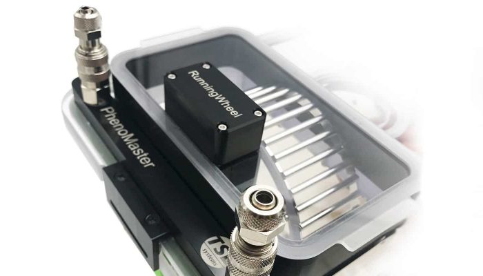 runningwheel running wheel