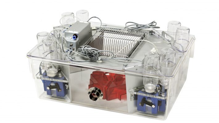 IntelliCage Workshop: Cognitive and Behavioral Screening of Individual Mice Living in a Social Group