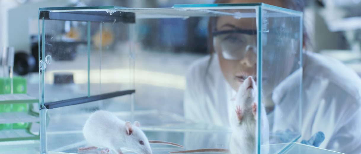 Researcher looking at a mouse cage