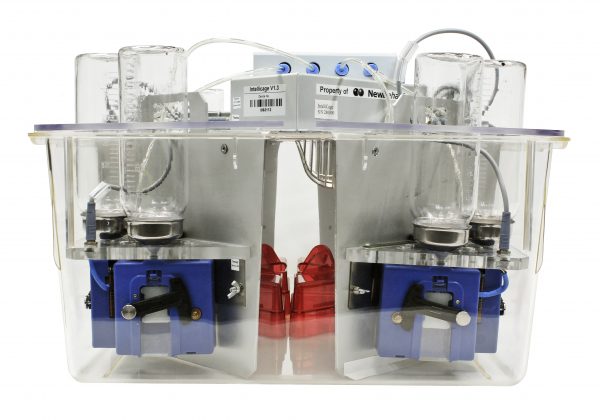 IntelliCage - close-up