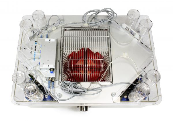 IntelliCage - top overview