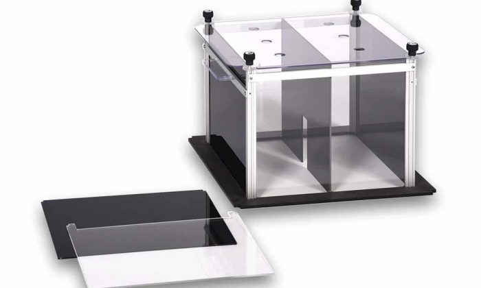 Active Avoidance or Latent Inhibition in Multi-Conditioning System