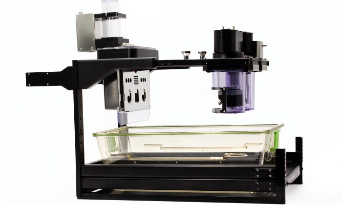 Operant Wall for mice