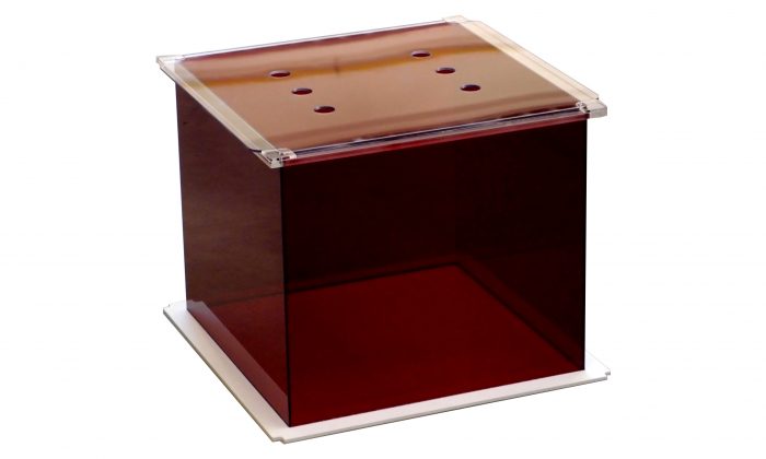 Open Field for rodents - behavior