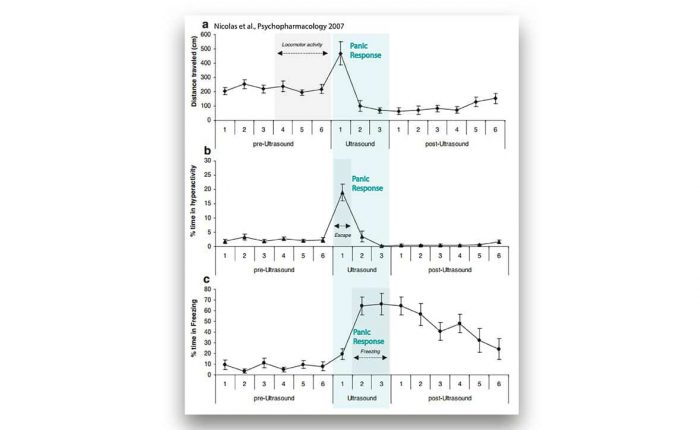 Panic Response - Multi Conditioning