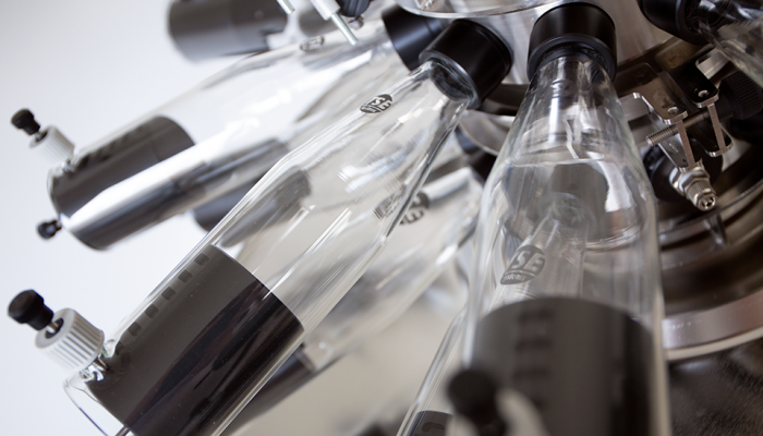 Head Nose Only Head Nose Only