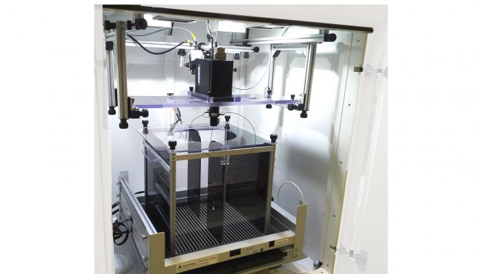 Learned Helplessness in context with E-Phys