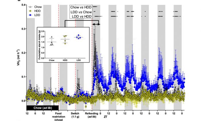 Microbiome Gas Sensor - Infographic