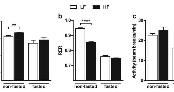 Oxygen consumption, RER and physical activity under normoxic conditions of LF and HF mice