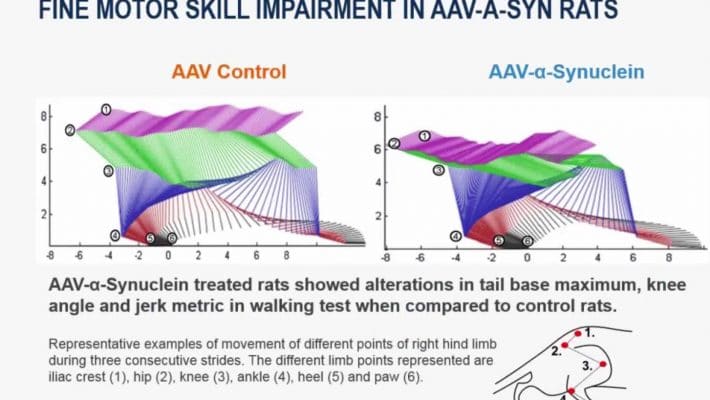 Webinar: The Search for Clinically Relevant Motor Behaviors in Animal Models of Parkinson’s Disease