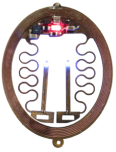 Bilateral Device - Neurolux