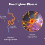 Why MotoRater is the best choice for advanced kinematic gait analysis Why MotoRater is the best choice for advanced kinematic gait analysis