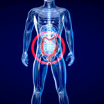 Unlocking the Secrets of Gut Microbiota and Host Energy Metabolism: A Novel Approach with PhenoMaster-based Isolator System Unlocking the Secrets of Gut Microbiota and Host Energy Metabolism: A Novel Approach with PhenoMaster-based Isolator System